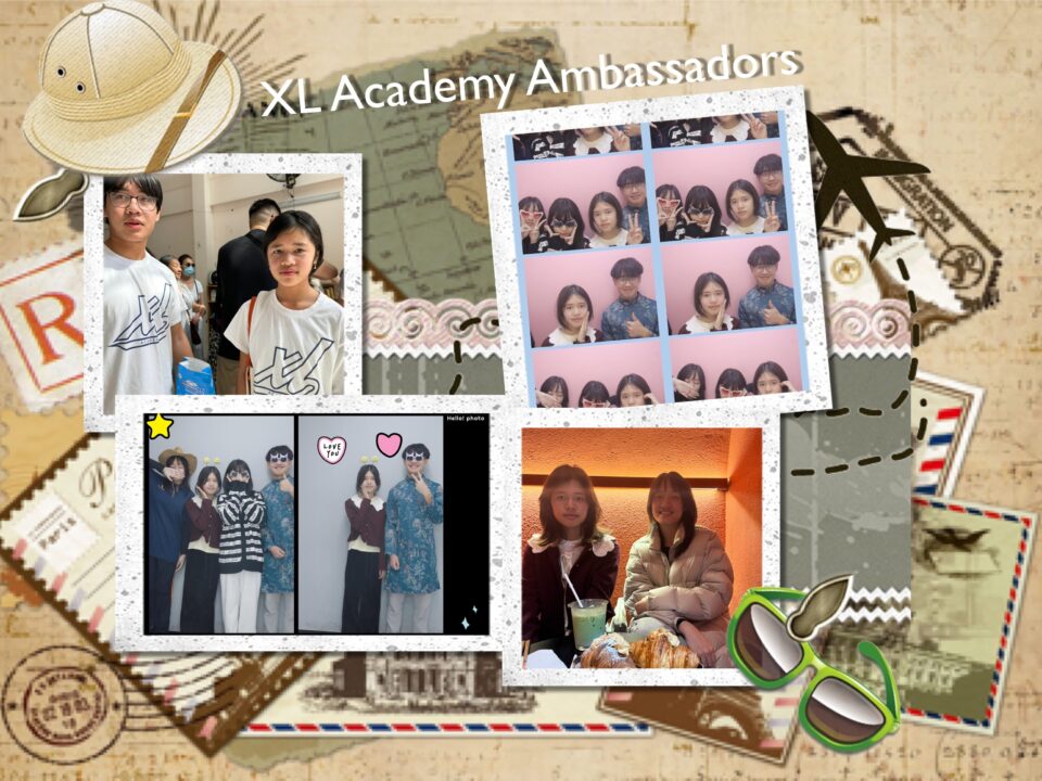 Ambassadors